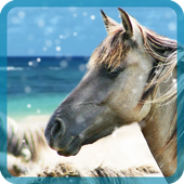 horse live wallpapers icon