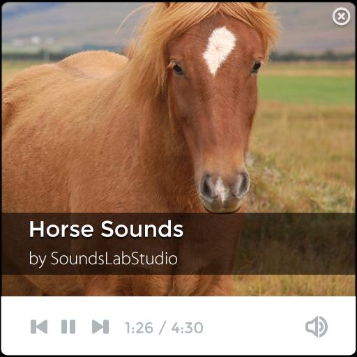 Лошадь прижала уши. Horse audio. Слушать рингтон со звуком лошади. Звук лошади. Лошадиные звуки.