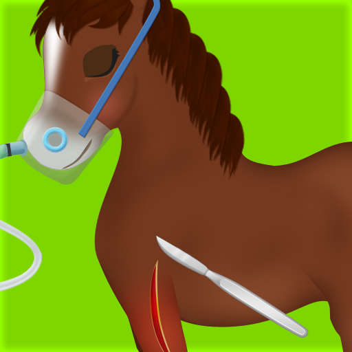 juegos de cirugía caballo
