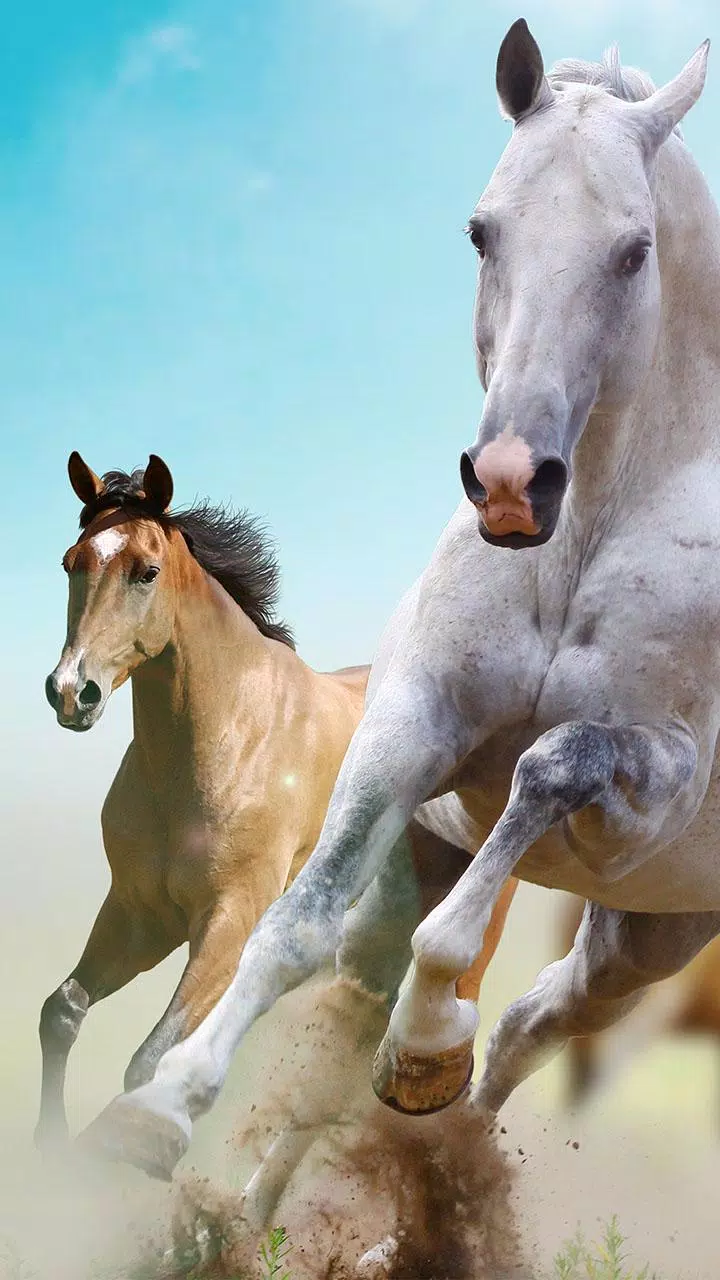 Tải xuống APK Horse Pictures Live Wallpaper cho Android