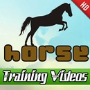 Horse Training Videos APK