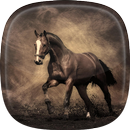 Fondos de Pantalla de Caballos 🐎 Imágenes Bonitas APK