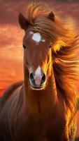 1 Schermata Sfondi Animati Cavalli 🐎 Belle Immagini