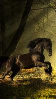 2 Schermata Sfondi Animati Cavalli 🐎 Belle Immagini