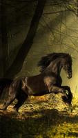 برنامه‌نما Horse Live Wallpaper عکس از صفحه