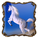 Chevaux Cadre Photo APK