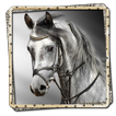 Horses Picture Frames FREE
