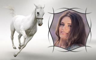 Horses Picture Frames FREE Ekran Görüntüsü 1