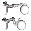 How To Shrink The Stomach APK
