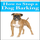 How To Stop Dog Barking icône