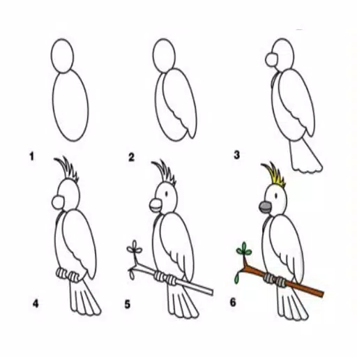 Cara melukis burung kakak tua