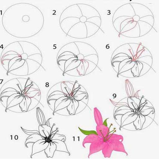 Come Disegnare Un Fiore For Android Apk Download