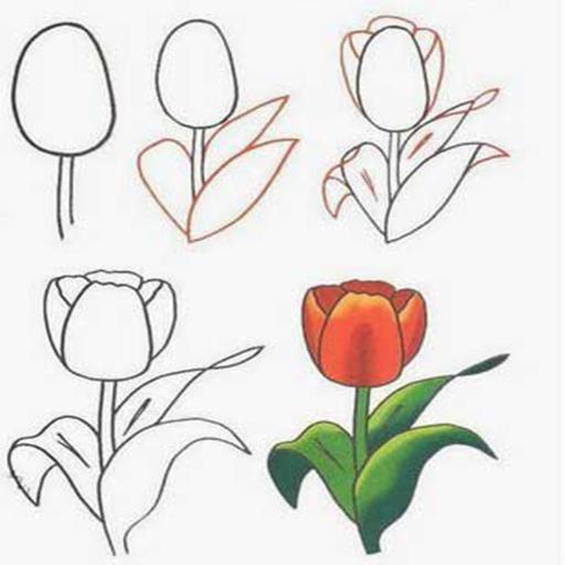 Come Disegnare Un Fiore For Android Apk Download