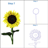 Learn to Draw Flower Step by Step