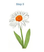 Naucz się rysować kwiat krok po kroku screenshot 2