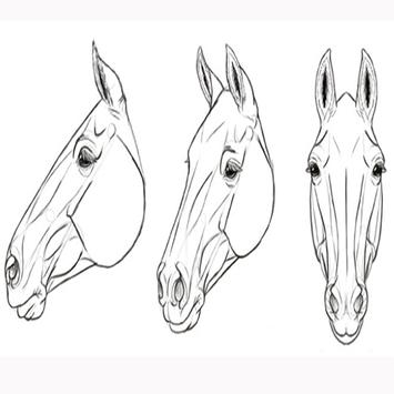 Come Disegnare Un Cavallo For Android Apk Download