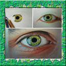 How to Draw Realistic APK