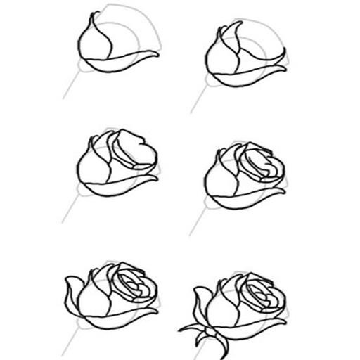 Cara Menggambar Mawar For Android Apk Download