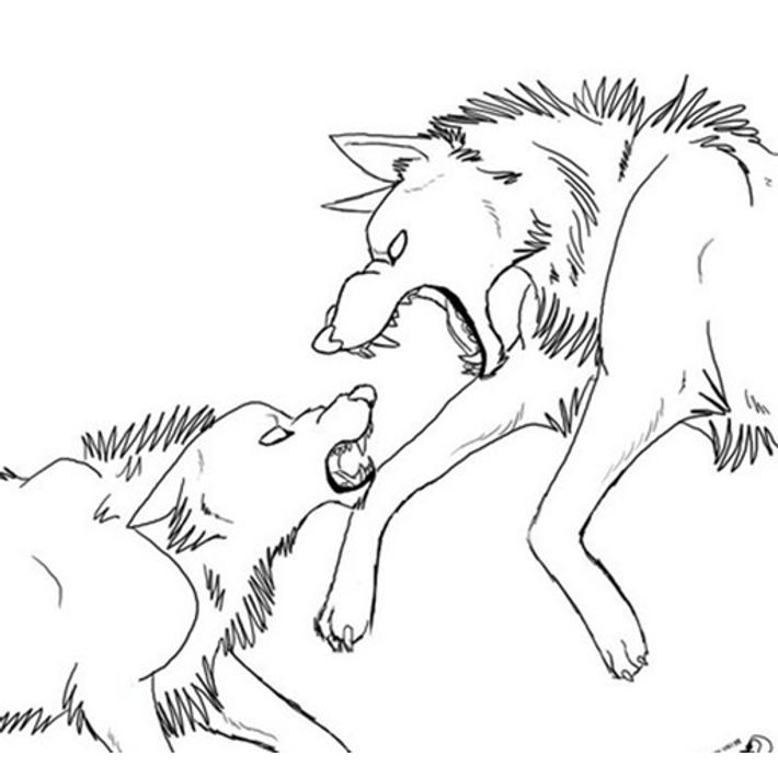 How to draw anime wolves