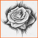 How To Draw a Rose APK