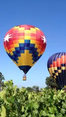 Baixar Balão Papel de Parede Animado XAPK