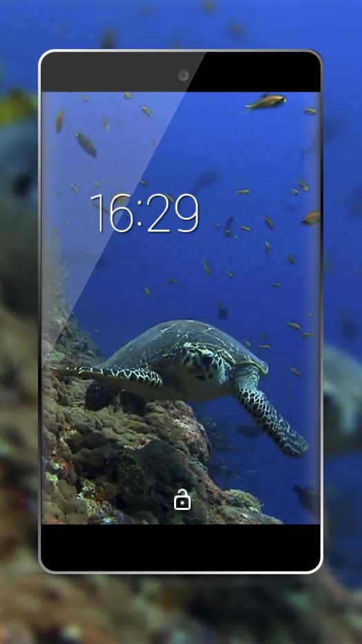 Android 用の 美しいウミガメのライブ壁紙 Apk をダウンロード