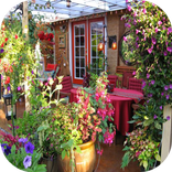 House Garden Design Ideas