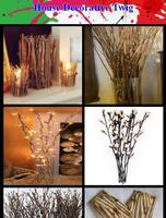 House Decorative Twig پوسٹر