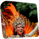 How to Dance Samba APK