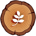 CM 13/LAOS 13 Material Wood