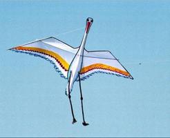 Awesome Kite Flyng Ideas Affiche