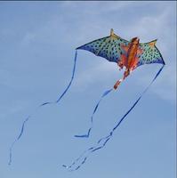 Awesome Kite Flyng Ideas capture d'écran 1
