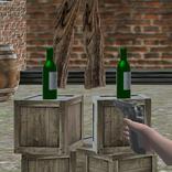 Bottle Shoot