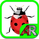AR Beetles Marker (+Cardboard) APK