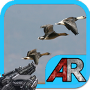 AR Birds Defense APK