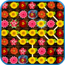 Blossom Link APK