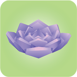 Viridi APK