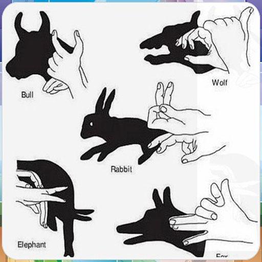 Hand Shadow Idea