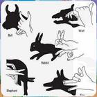 Hand Shadow Idea icon