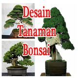 Bonsai Plant Design Idea icône
