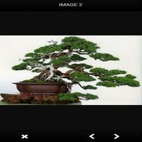 Bonsai Plant Design Idea capture d'écran 2