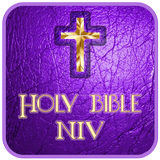 NIV Holy Bible ikon