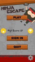 Ninja Escape постер