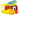Birdy Pro icon