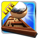 Crazy Labyrinth 3D - Lite APK