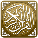Al Quran Reader (13 lignes) APK