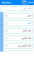 Urdu 2 English Dictionary captura de pantalla 1