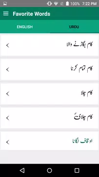 Screenshot 21 for English Urdu Dictionary +Roman