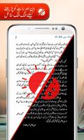 Urdu Novel Library – Free, Offline & Online captura de pantalla 2