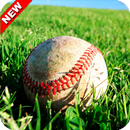 Baseball Game Wallpaper-APK